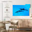 Brampt Maui Spinner Dolphins-108816459