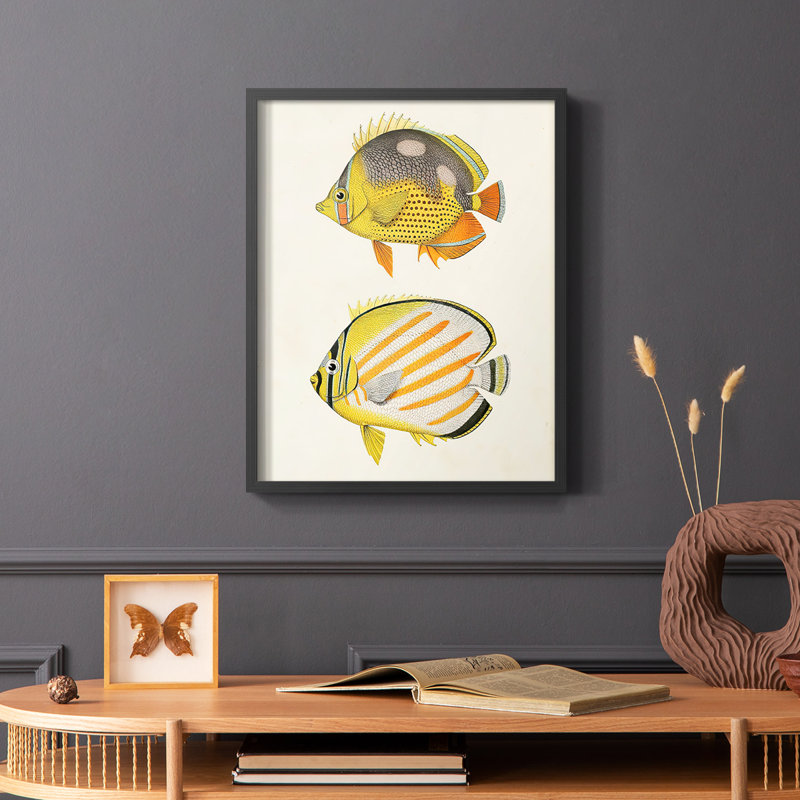 «Yellow & Gray Fish IV», reproduction encadrée - bois massif, Noir, H 20 po x l 16 po