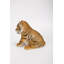 Statue tiger de l’assise