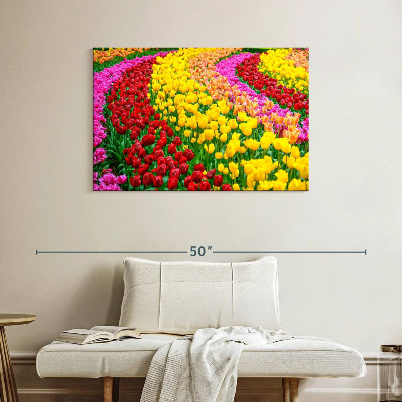 Jardin de tulipes Harnek Spring