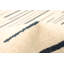 Tapis crème / pétrole Francom-894934838