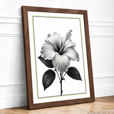 Hibiscus In Bloom Botanical - Print