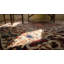 Antique Bergama Turkish Medallion Knotted Rug