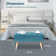 Obetz Velvet Upholstered Storage Bench