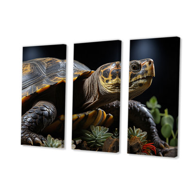 " Closeup Turtle Portrait II " 3 - Pieces