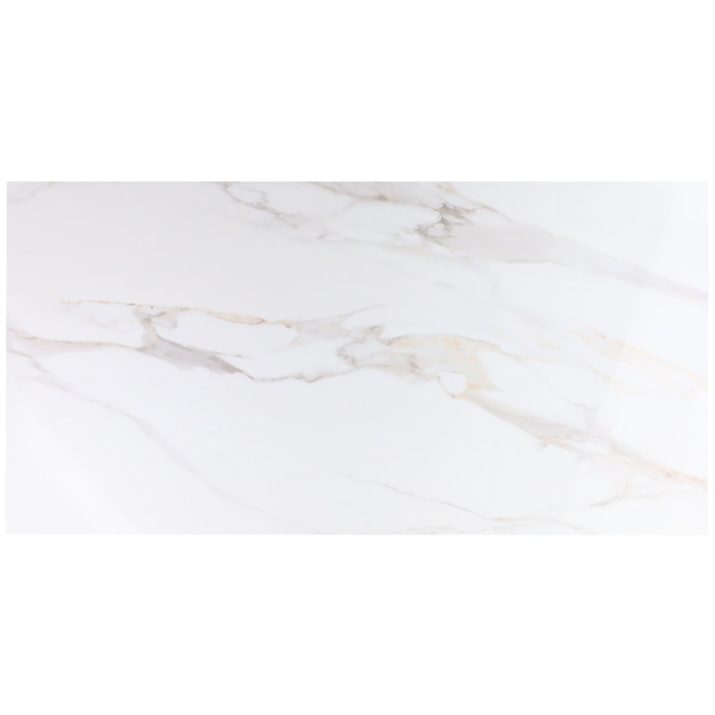 24'' W x 48'' L Porcelain Singular Tile, Aurora Gold