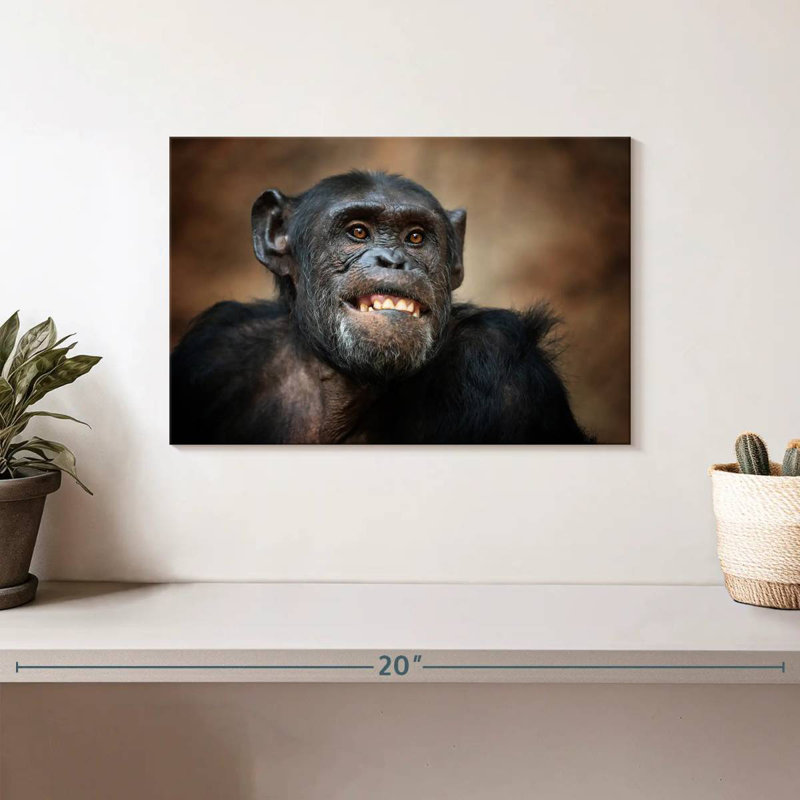 Funny Chimpanzee, 8" H x 12" W