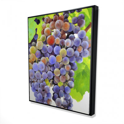" Bunch Of Grapes "