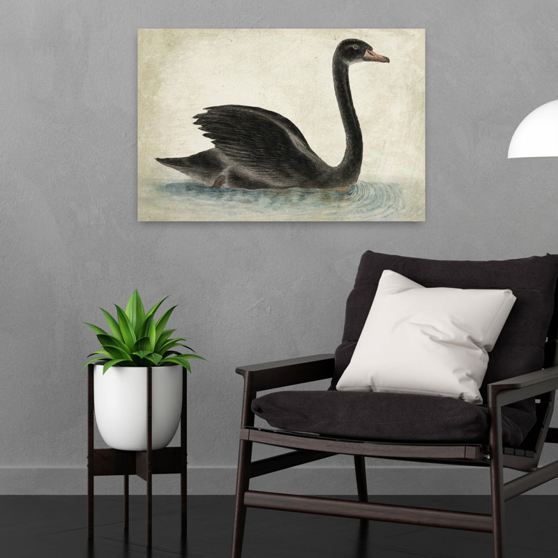 Art contemporain d'oiseau nageur cygne noir, H 24 po x l 16 po