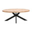 Lamantia Oval Solid Wood Top Metal Base Dining Table