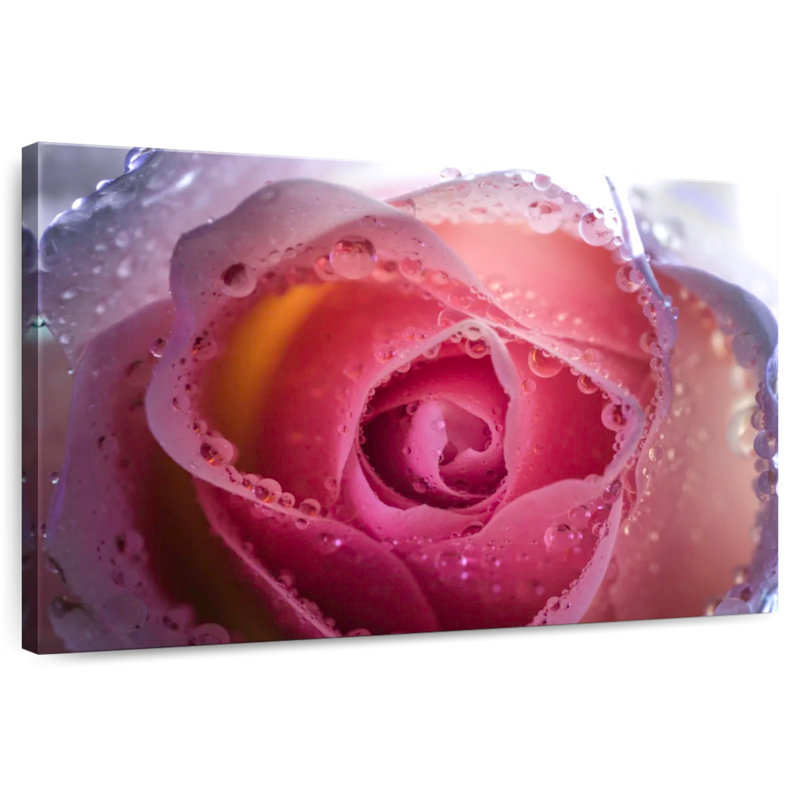 Harnek Misty Pink Rose, 16" H x 24" W
