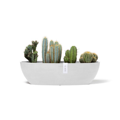 Pot Planter