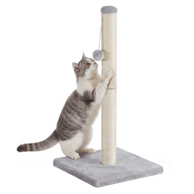 Arbres à chat, perchoirs et grattoirs