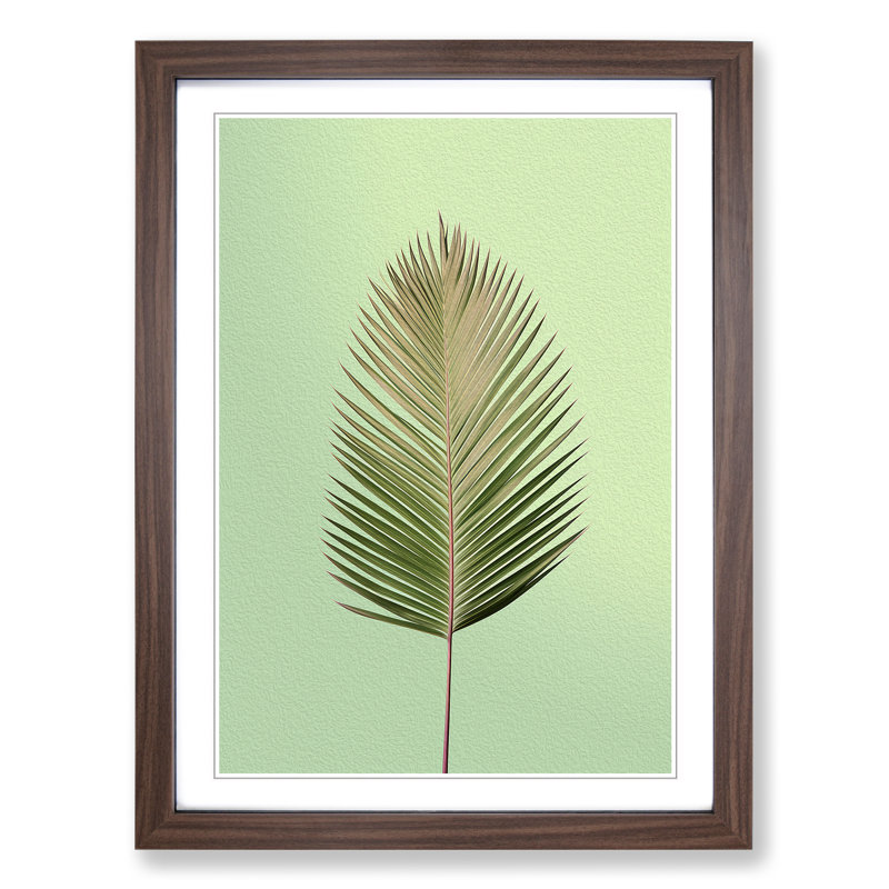 Palm Leaf Minimalism No.2 - Single Picture Frame Print on Wood, Walnut Framed, 46cm H x 34cm W x 2" D
