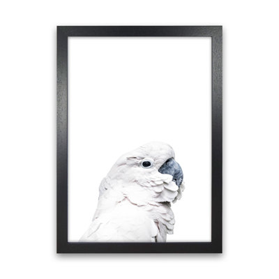 White Cockatoo by Victoria Frost - Print