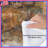 Rustic Cabin Forest Comforter-125233347