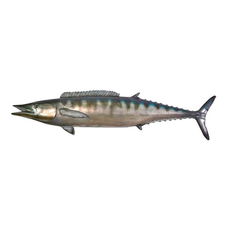 Sculpture Wahoo