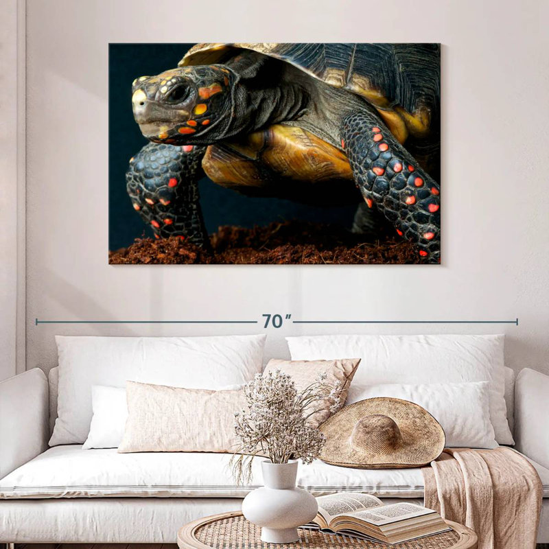 Brampt Amazon Red Footed Tortoise, 30" H x 45" W