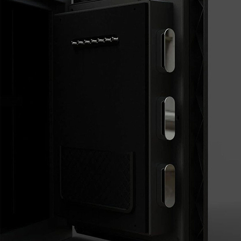 Biometric Safe Box, Fireproof Safes with Fingerprint Touch Screen Keyboard for Hotel Office, 2.1 Cubic feet