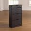12 Pair Shoe Storage Cabinet