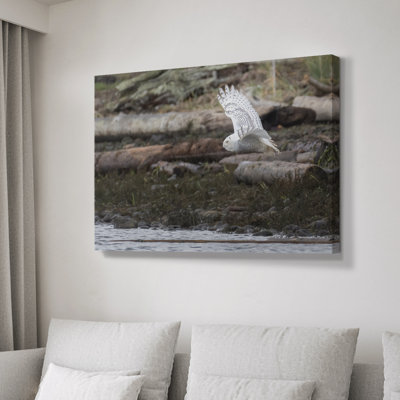 Vol en solo - Cavas enveloppés de galerie