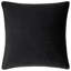 Hawthorn Floral Square Cushion-91891890