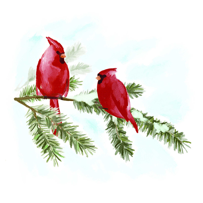 " Two Cardinal On A Branch ", 30" H x 30" W