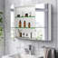 Armoire à pharmacie 30 po x 26 po avec miroir à fixation en surface ou espace de rangement encastré en aluminium
