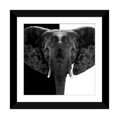 Safari Profile Series, reproduction de photo sur toile tendue en noir et blanc