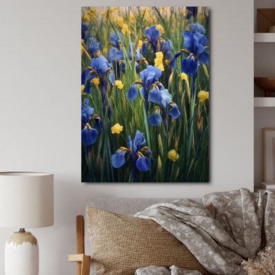 " Blue Yellow Impression Of Iris "