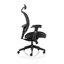 Makhari Task Chair with Headrest