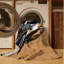  Tapis lavable avec des oiseaux duveteux-818038832