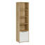 200.1 cm H x 53.2 cm W Bookcase-1428283817