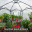 Serre de jardin portative 6,6 x 6,6 pi Hexagon-116302485