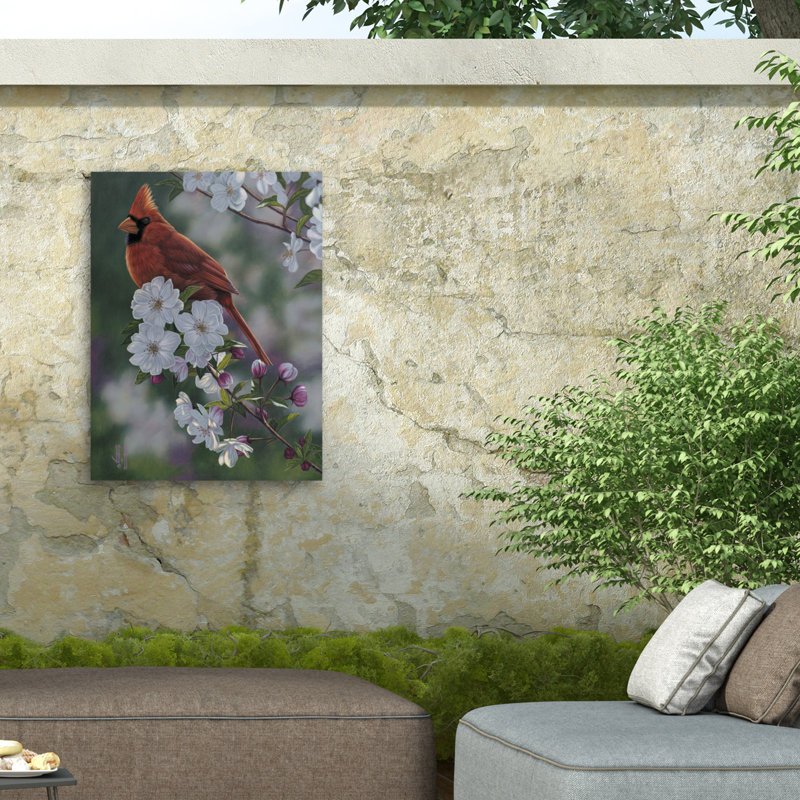 Toile d'extérieur Jeff Hoff Cardinal, H 14 po x l 19 po