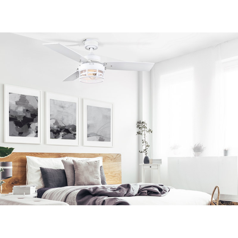 Joeli 42'' Ceiling Fan with Light Kit