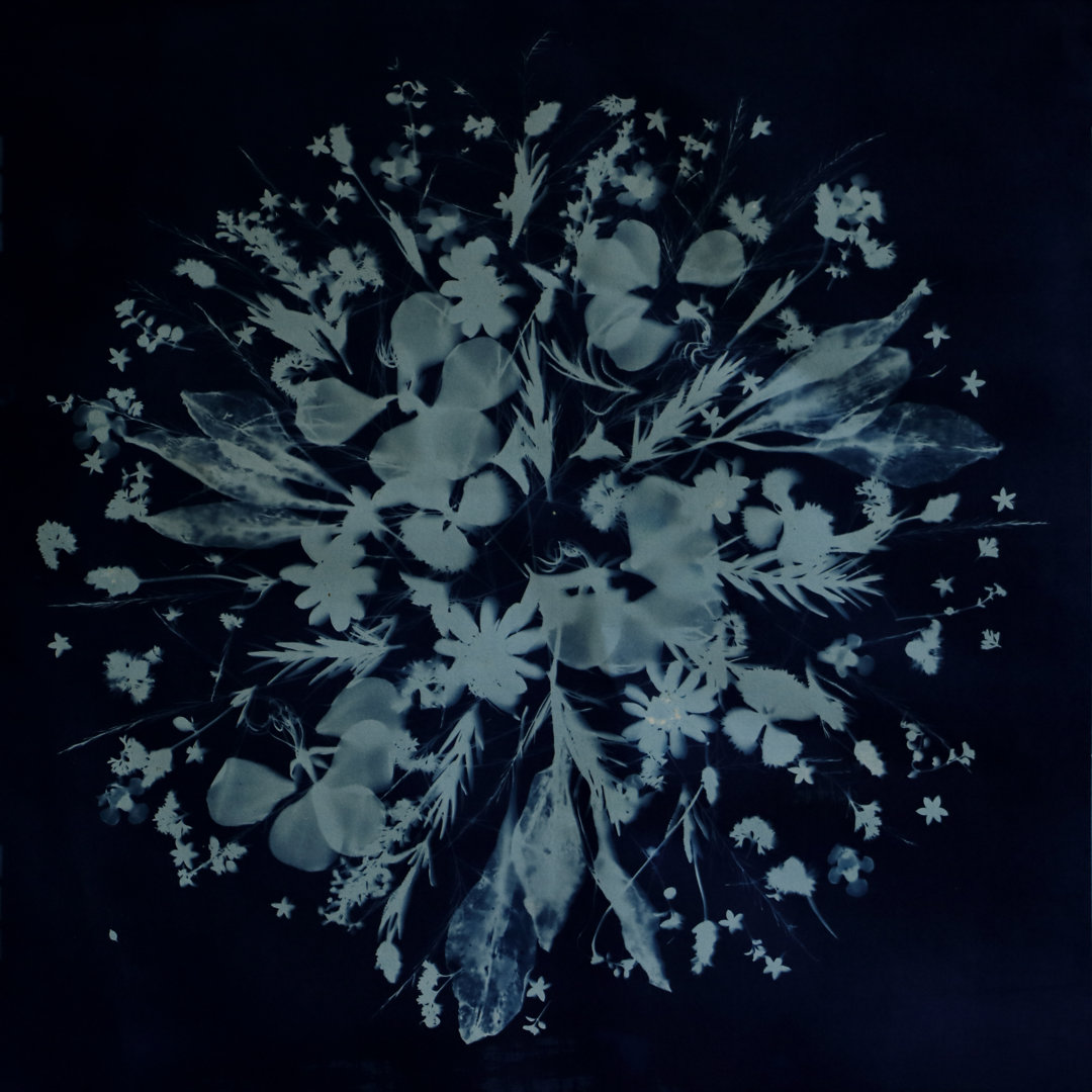 Cyanotype Of Herbs von JudiParkinson - Kunstdrucke auf Leinwand