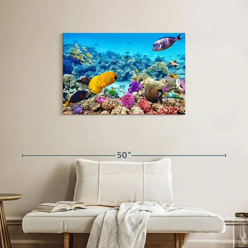 Ocean life Aletra, H 24 po x l 36 po