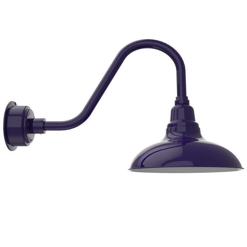 Luminaire de grange d'extérieur à DEL Idella, Bleu de cobalt, H 19 po x l 12 po x P 33 po