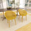 Chaise d'appoint d'intérieur / extérieur (ensemble de 2)-114219533