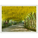 Landscape Field Giclee Print by Soicher Marin Archives
