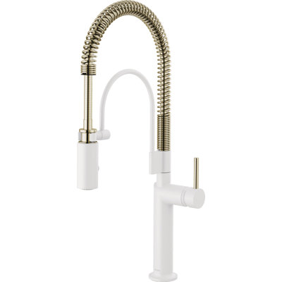 Jason Wu Semi-Professional Kitchen Faucet