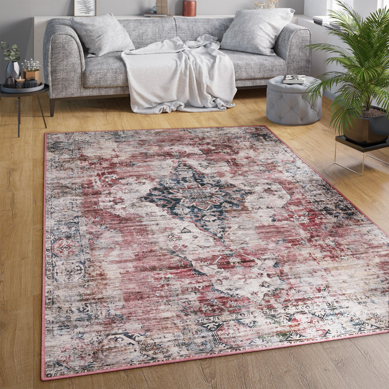 Solvey Oriental Area Rug, Rectangle 60 x 100cm