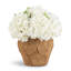 Willow RealTouch Hydrangea Arrangement-2131541933