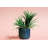 Ceramic Cachepot-1728691409-1743948478