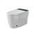 Smart One-Piece Toilet