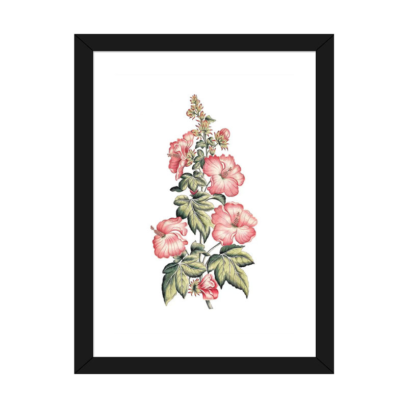 «Flowering Hibiscus II» par un artiste inconnu - reproduction, Blanc, H 24 po x l 16 po x P 1 po, Papier encadré noir
