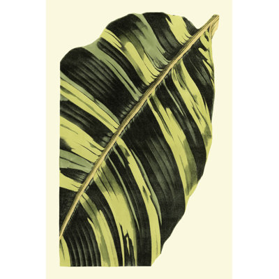 Grandiose Leaves II by Vision Studio - Wrapped Canvas Art Prints
