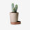 Sip Planter