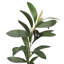 Oliveira moderne Oliveira avec pot de chambre de bébé et mousse ensachée-810126743-810126746-810126749